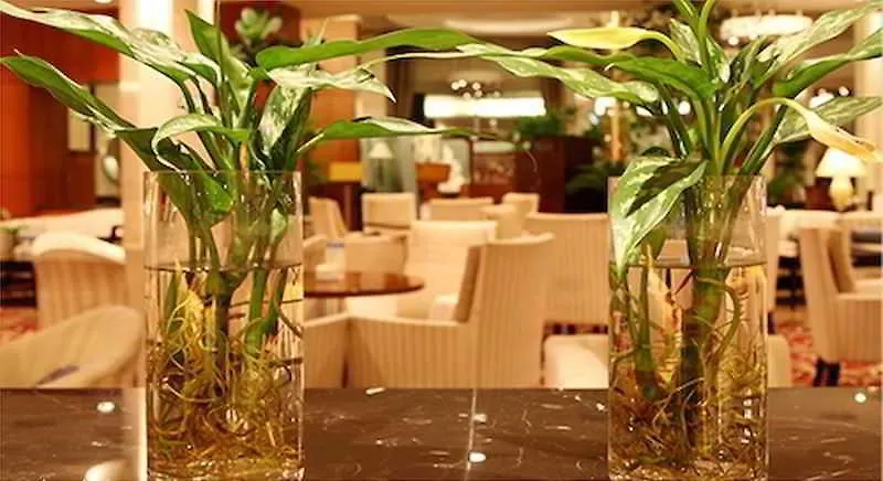 ****  The-K Hotel Soul Jižní Korea
